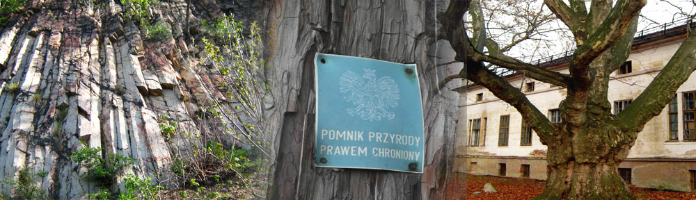 Pomniki przyrody