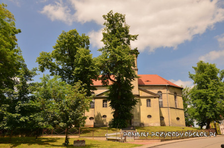 gmina Międzybórz Pomniki przyrody