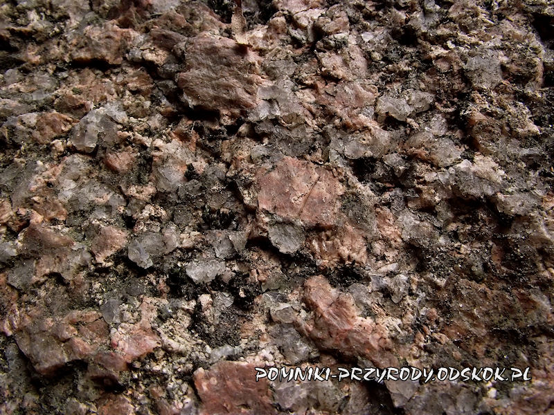 granit budujacy kamien św. Jadwigi