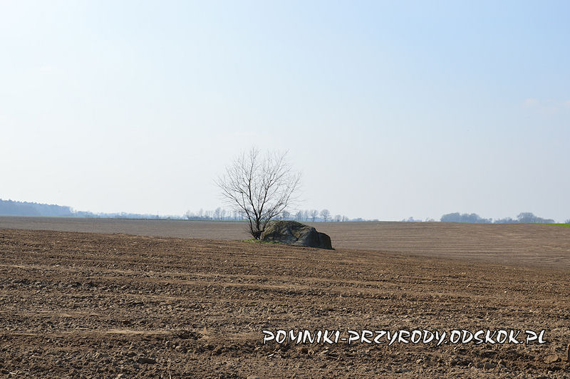 pomnikowy głaz leżący na polu we wsi Jezierzyce