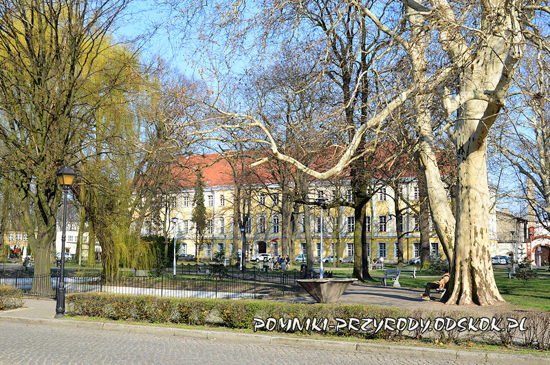Park Miejski w Lesznie, na drugim planie Pałac Sułkowskich