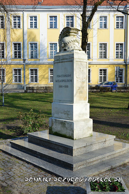 Park Miejski w Lesznie - pomnik poświęcony Powstańcom Wielkopolskim
