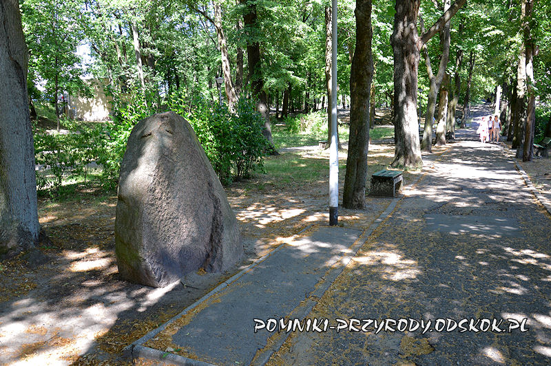 Park Piastowski w Zielonej Górze - otoczenie pomnikowego głazu II