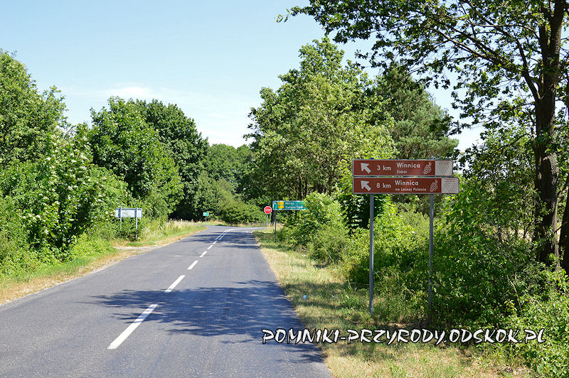 droga wjazdowa do wsi Łaz