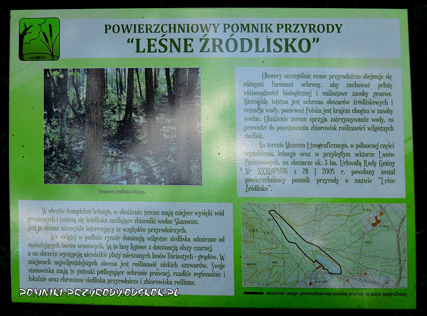 opis pomnika przyrody Leśne Źródlisko
