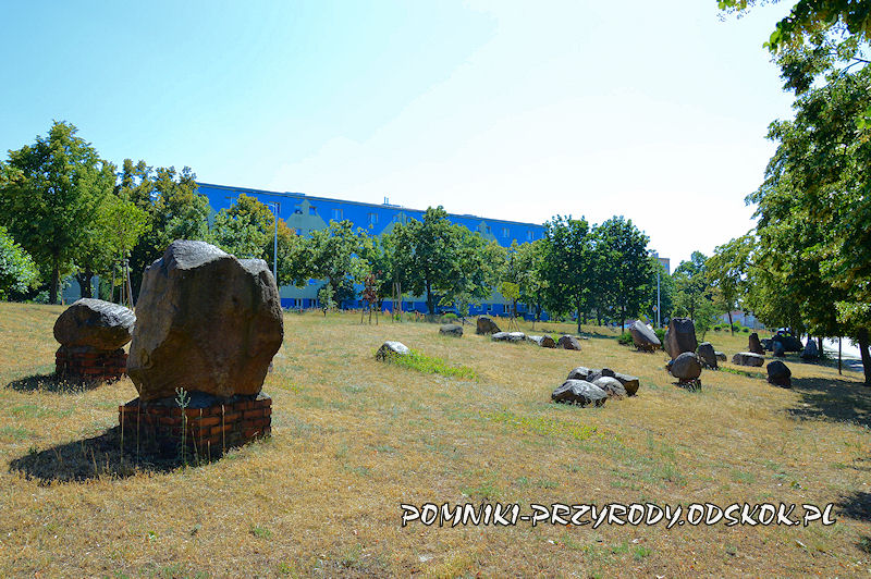 pomnikowe eratyki leżące przy ul. Szafrana w Zielonej Górze