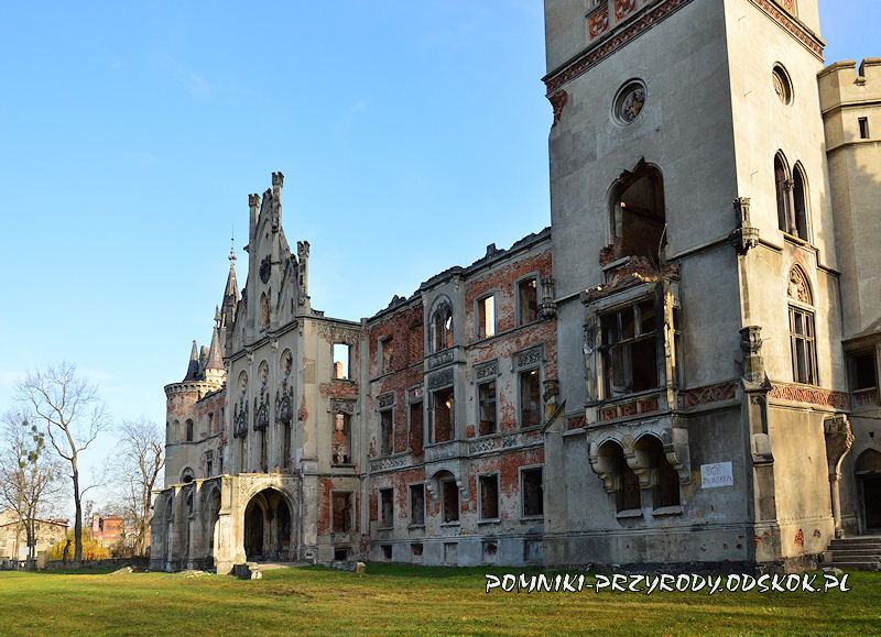 ruiny pałacu w Kopicach