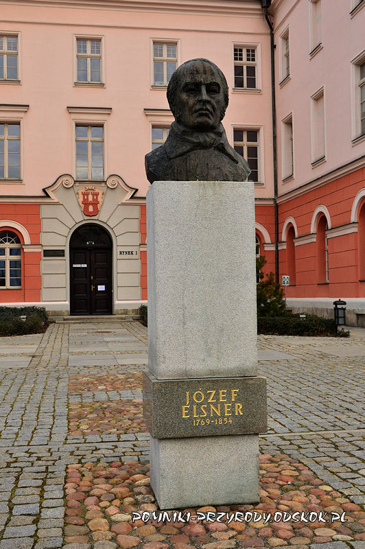 Grodków - pomnik Józefa Elsnera