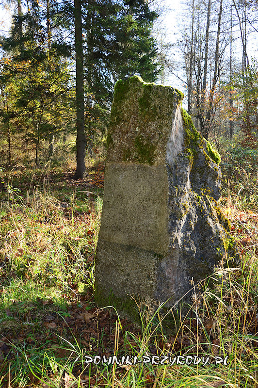 kamienny pomnik w lesie k. Drołtowic