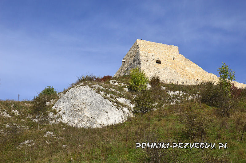 pomnikowa skałka poniżej zamku w Rabsztynie