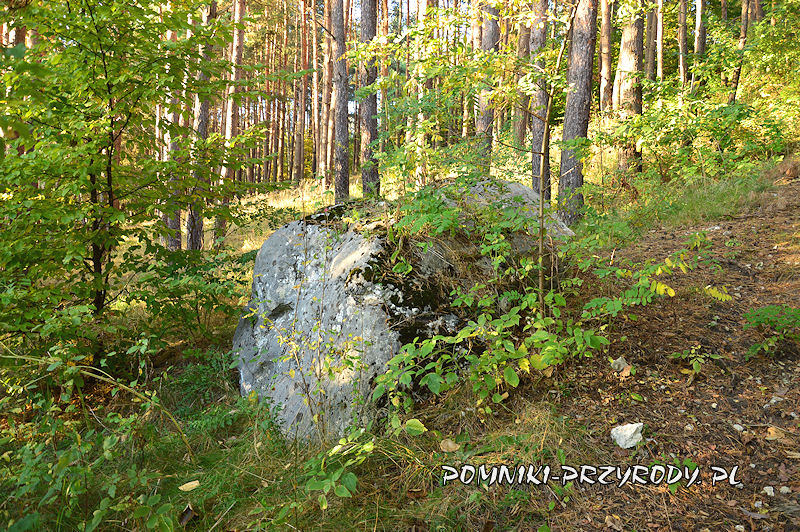 wapienna skałka w lesie obok zamku Rabsztyn