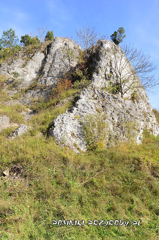 wapienne skały u podnóża zamku w Rabsztynie