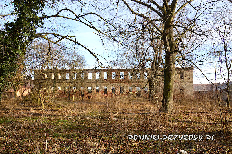 Moczydlnica Klasztorna - ruina pałacu widziana od strony parku
