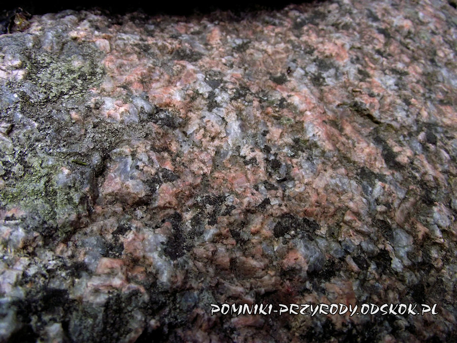 granit budujący Kamień Brygidy