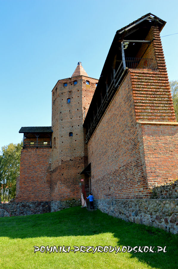 Rawa Mazowieckiej - ruiny zamku