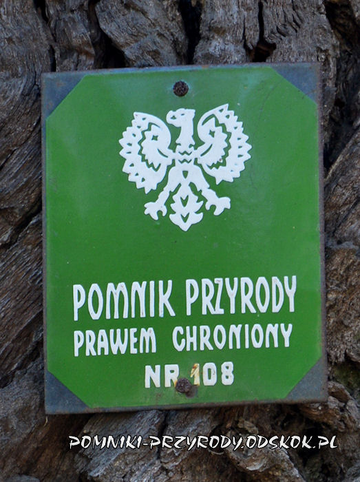 tabliczka na dębie Żegrowiak