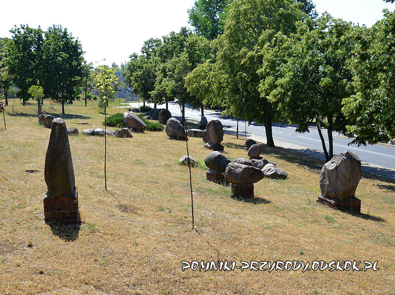 kolekcja pomnikowych eratyków przy ul. Szafrana w Zielonej Górze