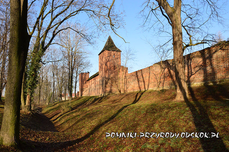 Środa Śląska - fragment murów miejskich przy ul. Basztowej