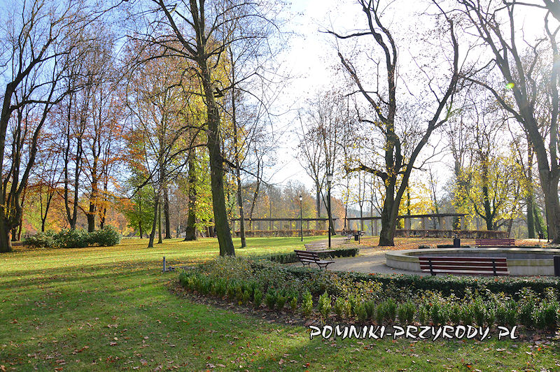 Park Miejski w Sycowie - fontanna i pergola