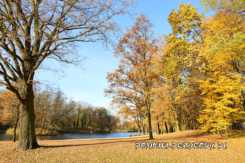Park Miejski w Sycowie jesienią