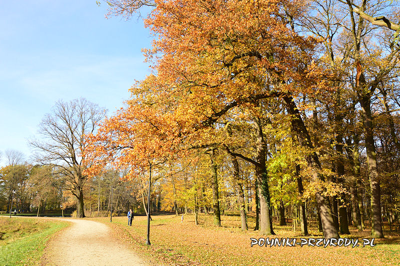 Park Miejski w Sycowie w jesiennych barwach