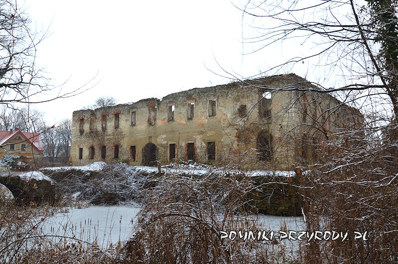 ruiny pałacu w Prusach - widok od strony parku