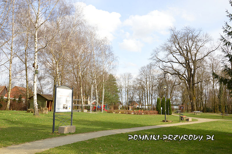 fragment parku w Godzieszowej