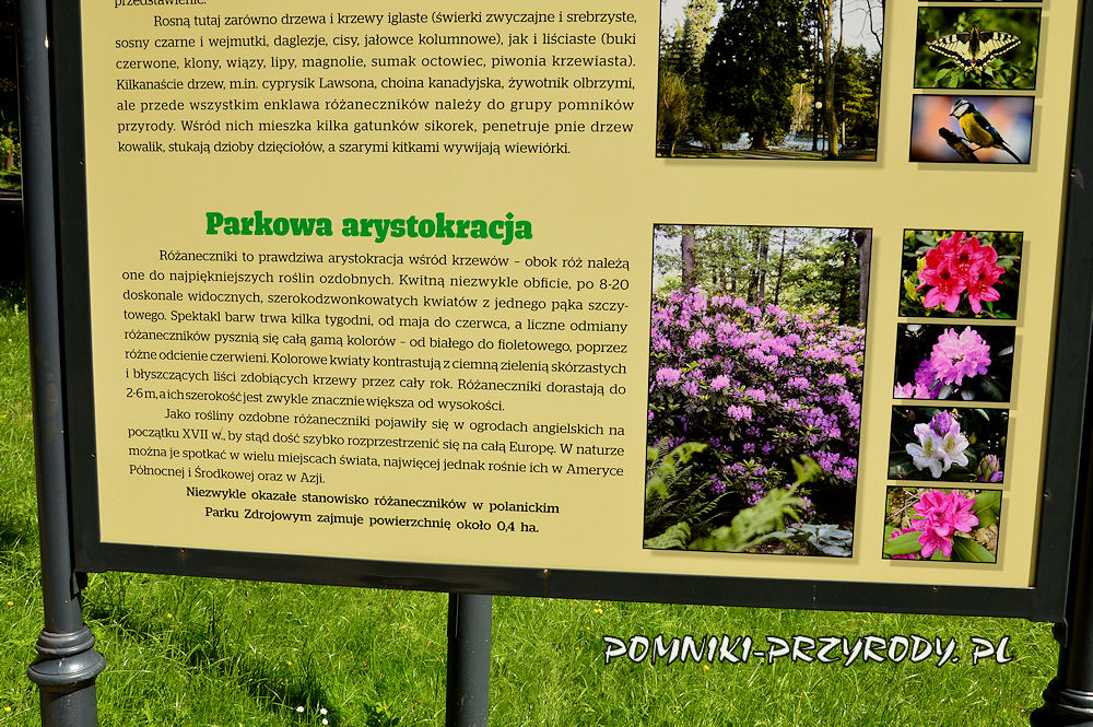 fragment tablicy w Parku Zdrojowym w Polanicy-Zdroju