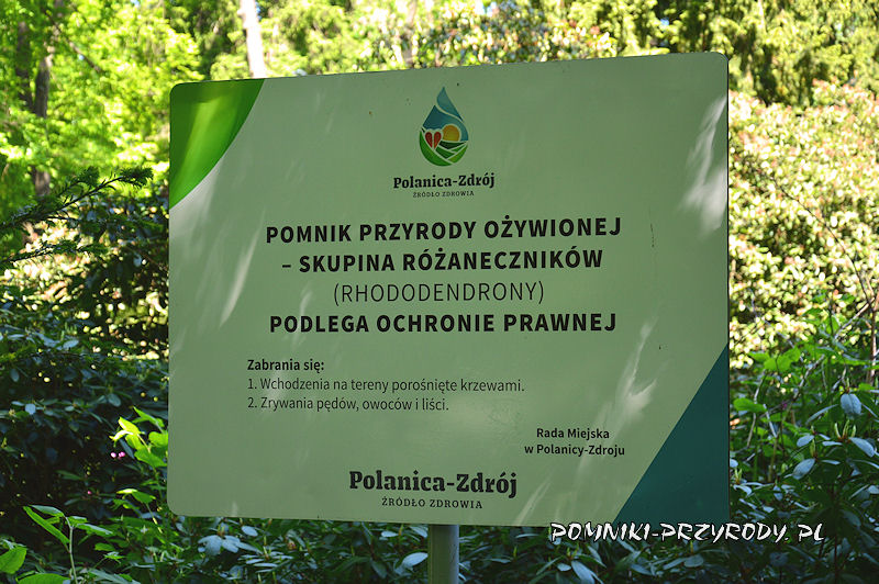 tablica w Parku Różaneczników