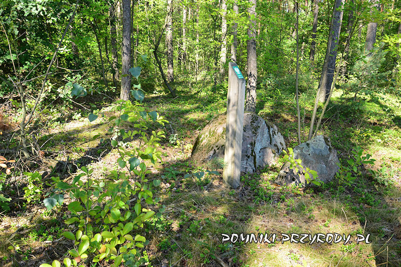 Kamienie na Desznie w gminie Tuliszków