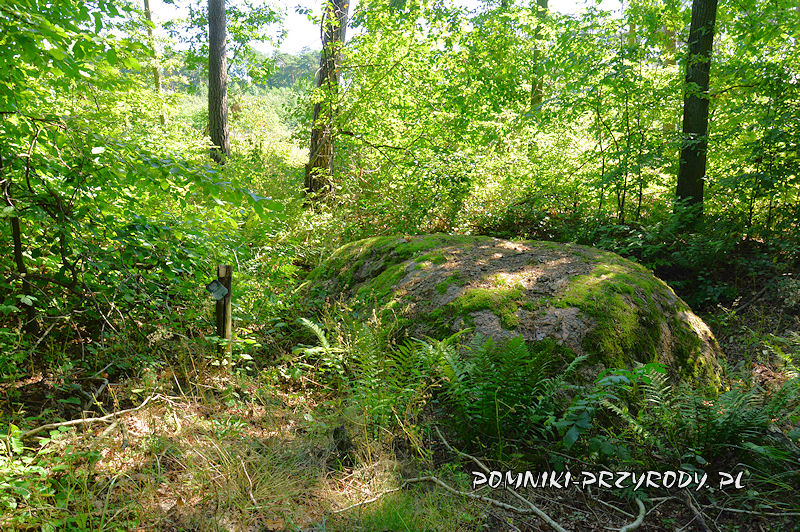 pomnikowy eratyk w gminie Dąbie