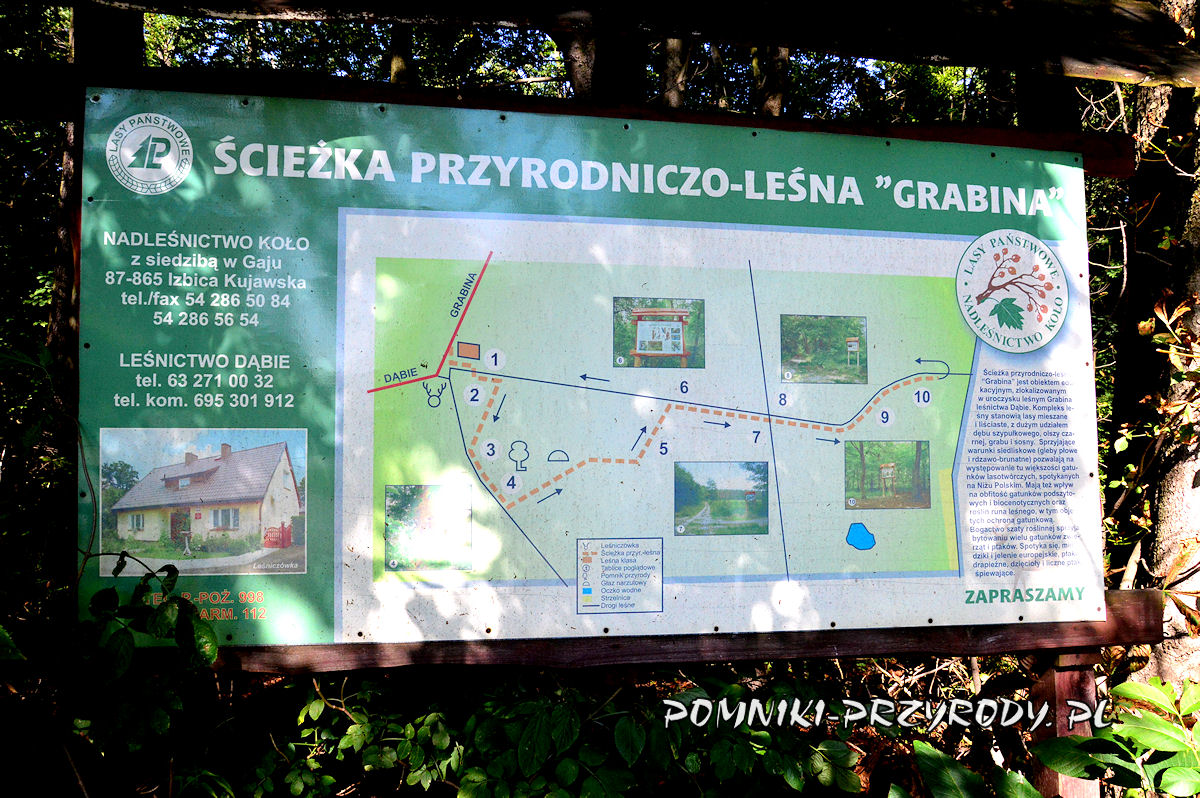 tablica na początku ścieżki przyrodniczej Grabina