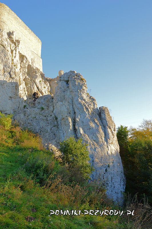 pomnikowa skałka obok zamku Rabsztyn