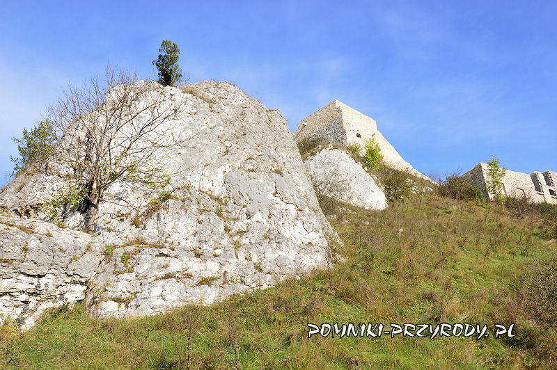 pomnikowe skałki na zboczu wzgórza zamkowego