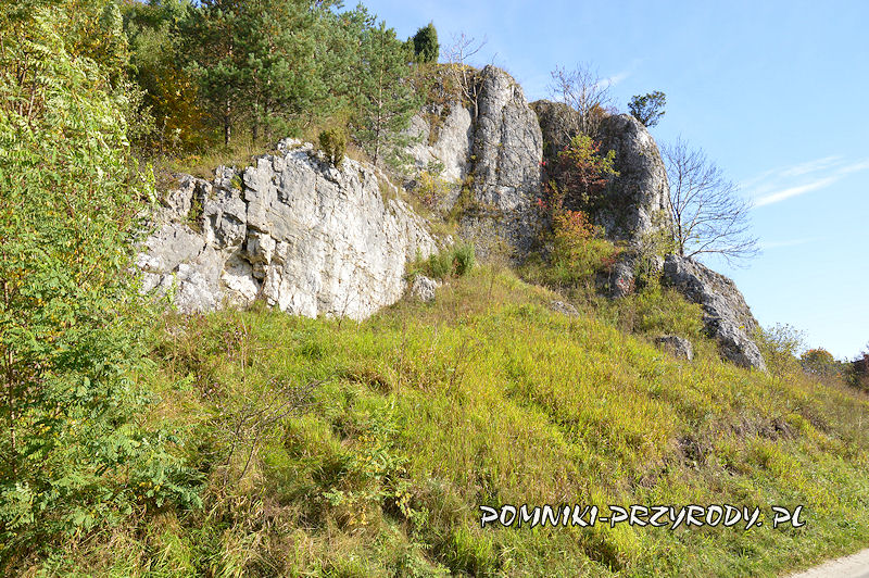 pomnikowe skałki u podnóża Wzgórza Rabsztyńskiego