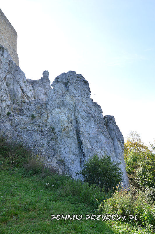 wapienna skałka obok zamkowej wieży w Rabsztynie