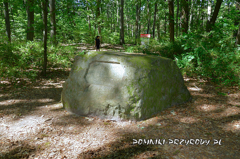 Kamień Moritza w Lemierzycach