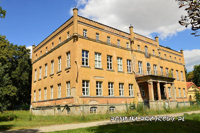 fasada pałacu w Dąbroszynie