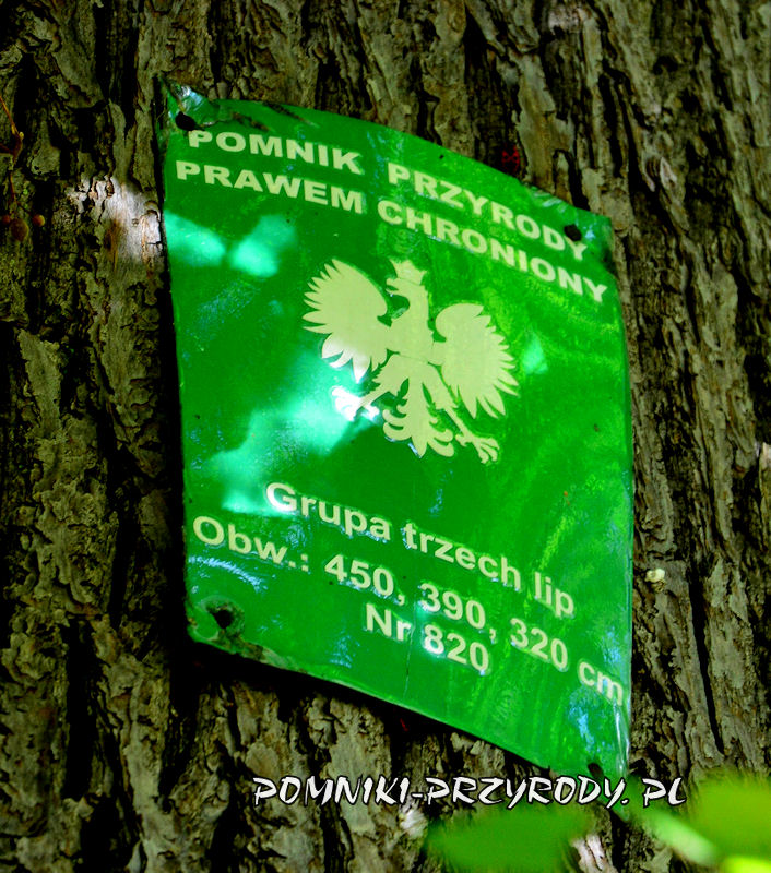 tablica przy pomnikowych lipach w Łęgowie