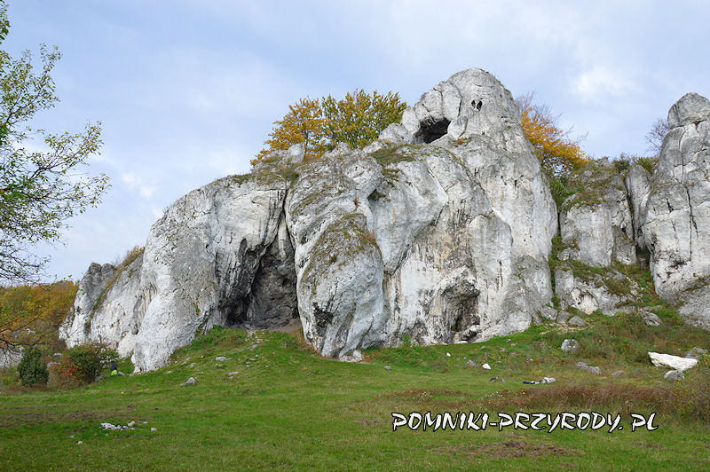 Ska y Rz dkowickie gm W odowice l skie Pomniki Przyrody