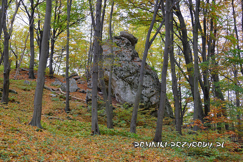 29. Rzędkowice - skała w lesie z Jaskinią Sopli Lodu