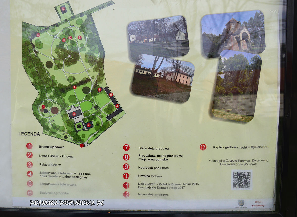 Wiśniowa - plan założenia pałacowo - parkowego