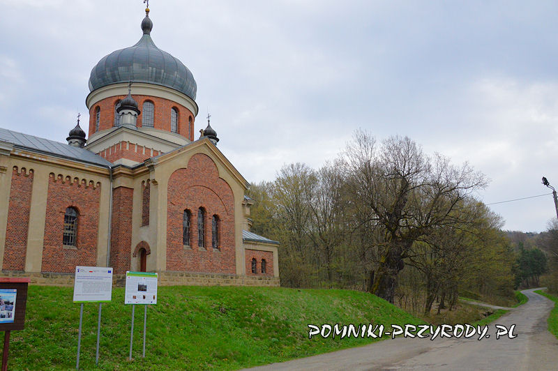 dąb Jagiellon przy cerkwi w Rzepniku