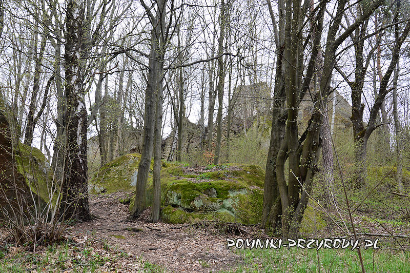 zamek Kamieniec widziany od strony ścieżki przyrodniczej
