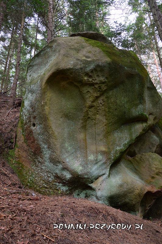 20. Pomnikowe skały w Woli Komborskiej