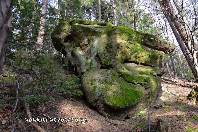 3. Pomnikowe skałki na Łupanej Górze