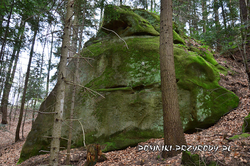 4. Pomnikowa skała w lesie Pałki