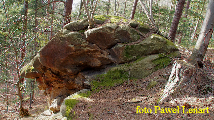 4. Pomnikowe skałki na Łupanej Górze