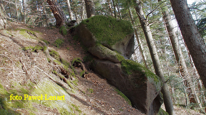 6. Pomnikowe skałki na Łupanej Górze