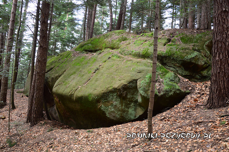 7. Pomnikowa skała w lesie Pałki